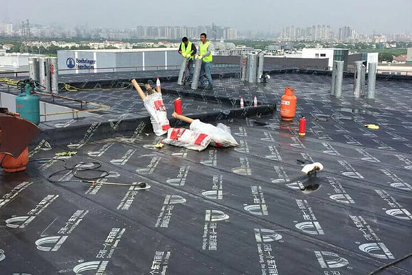 专业楼顶防水