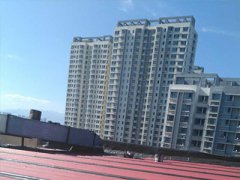 防水材料如何分类、辨别？